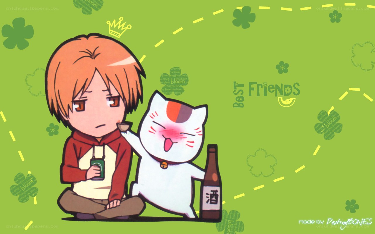 chibi boy and cat friends