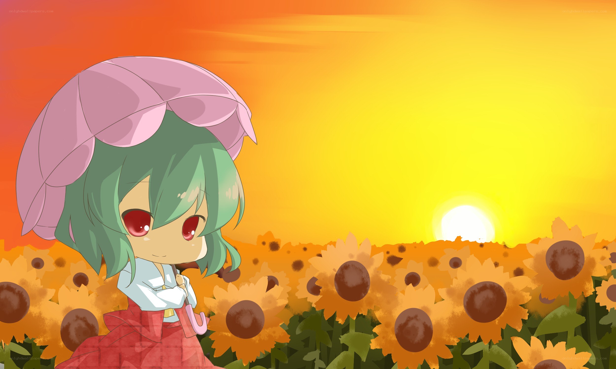 chibi girl in sunflower field