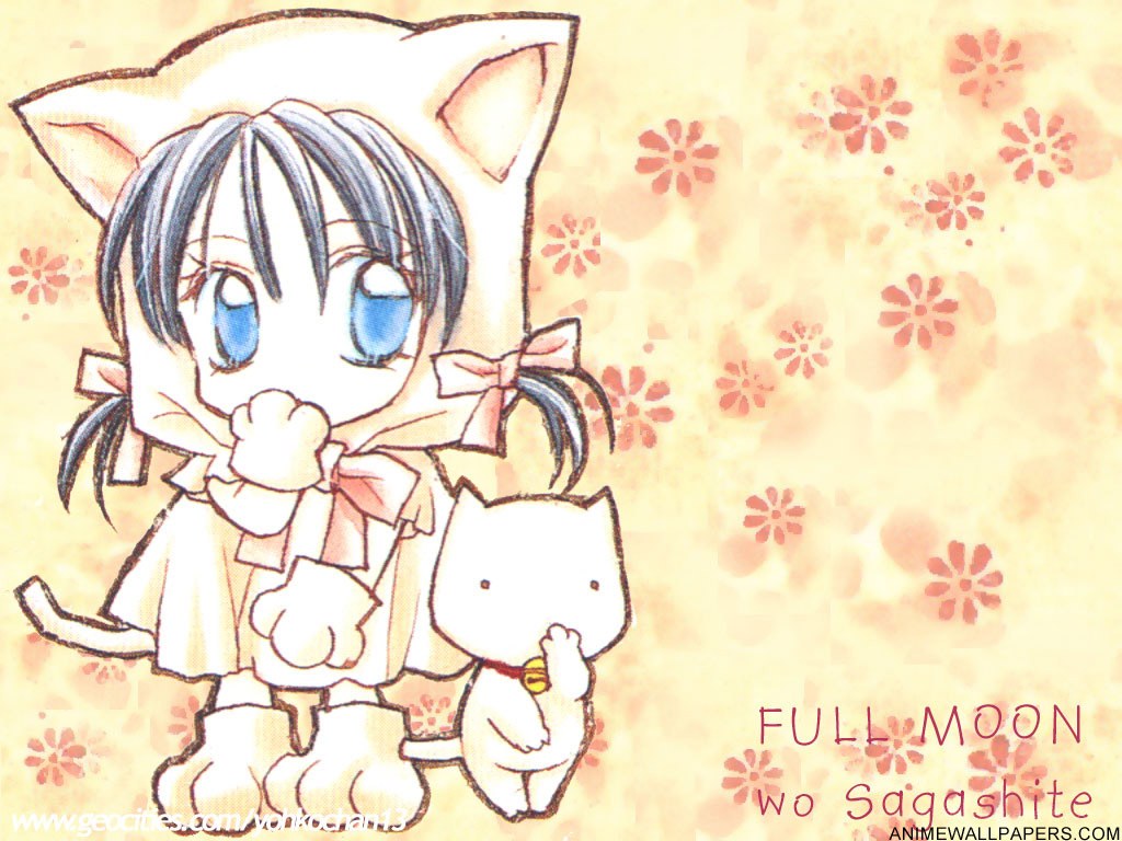 Chibi girl with cat ears