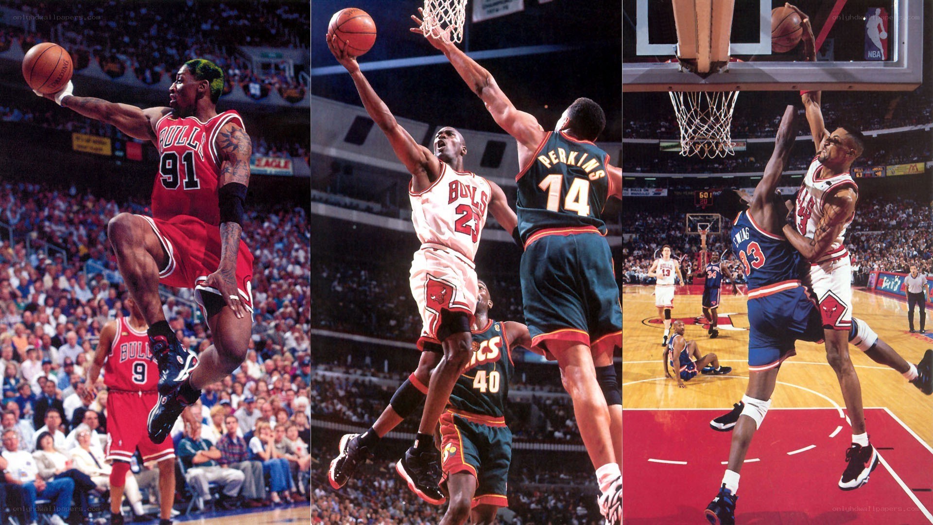 Chicago Bulls basketball highlights