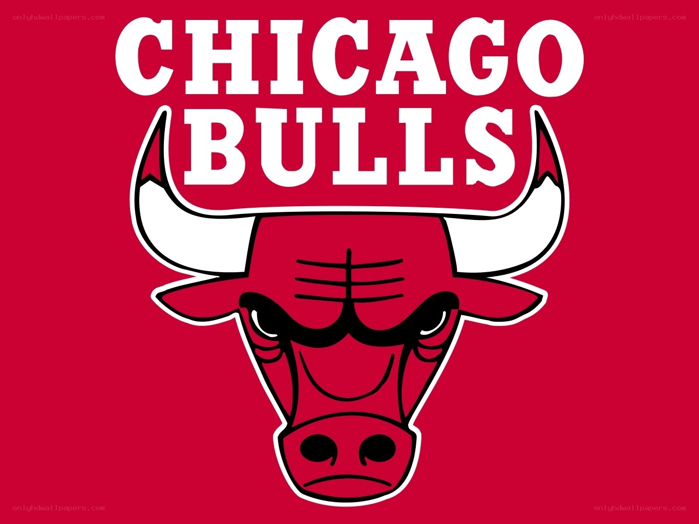 Chicago Bulls logo