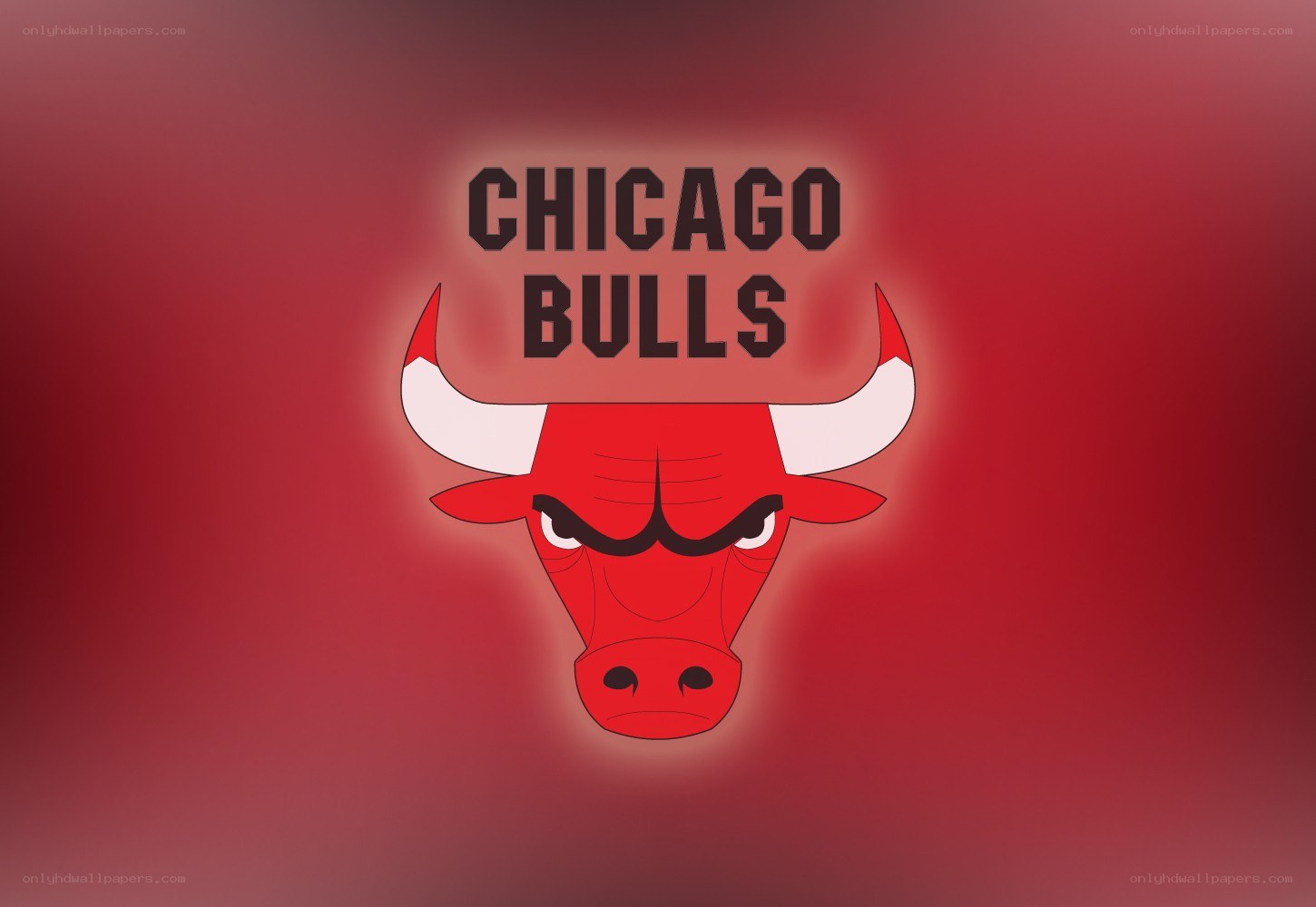Chicago Bulls logo
