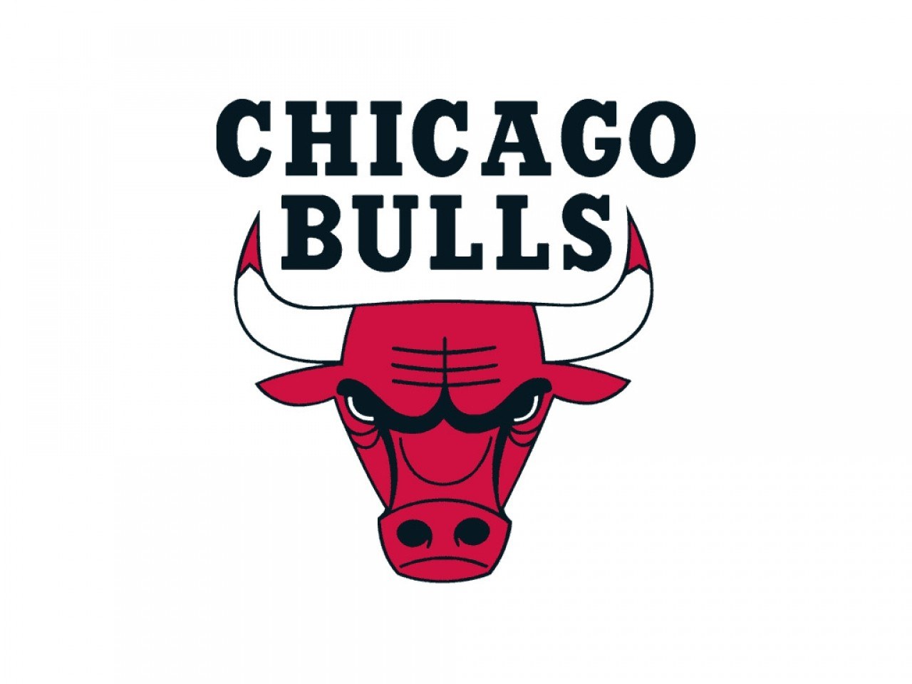 Chicago Bulls logo