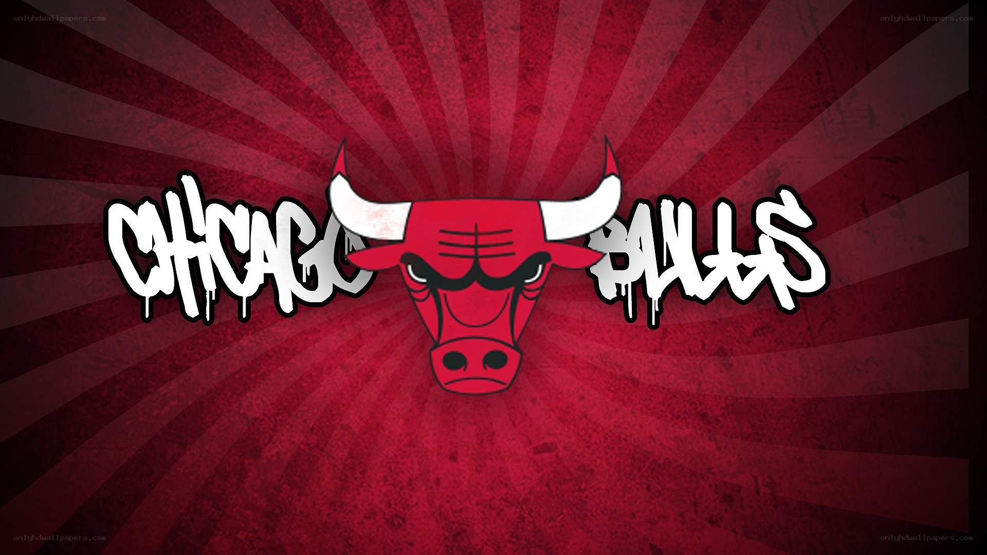 Chicago Bulls logo art