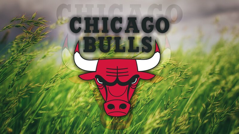 Chicago Bulls Logo — Green, Calm