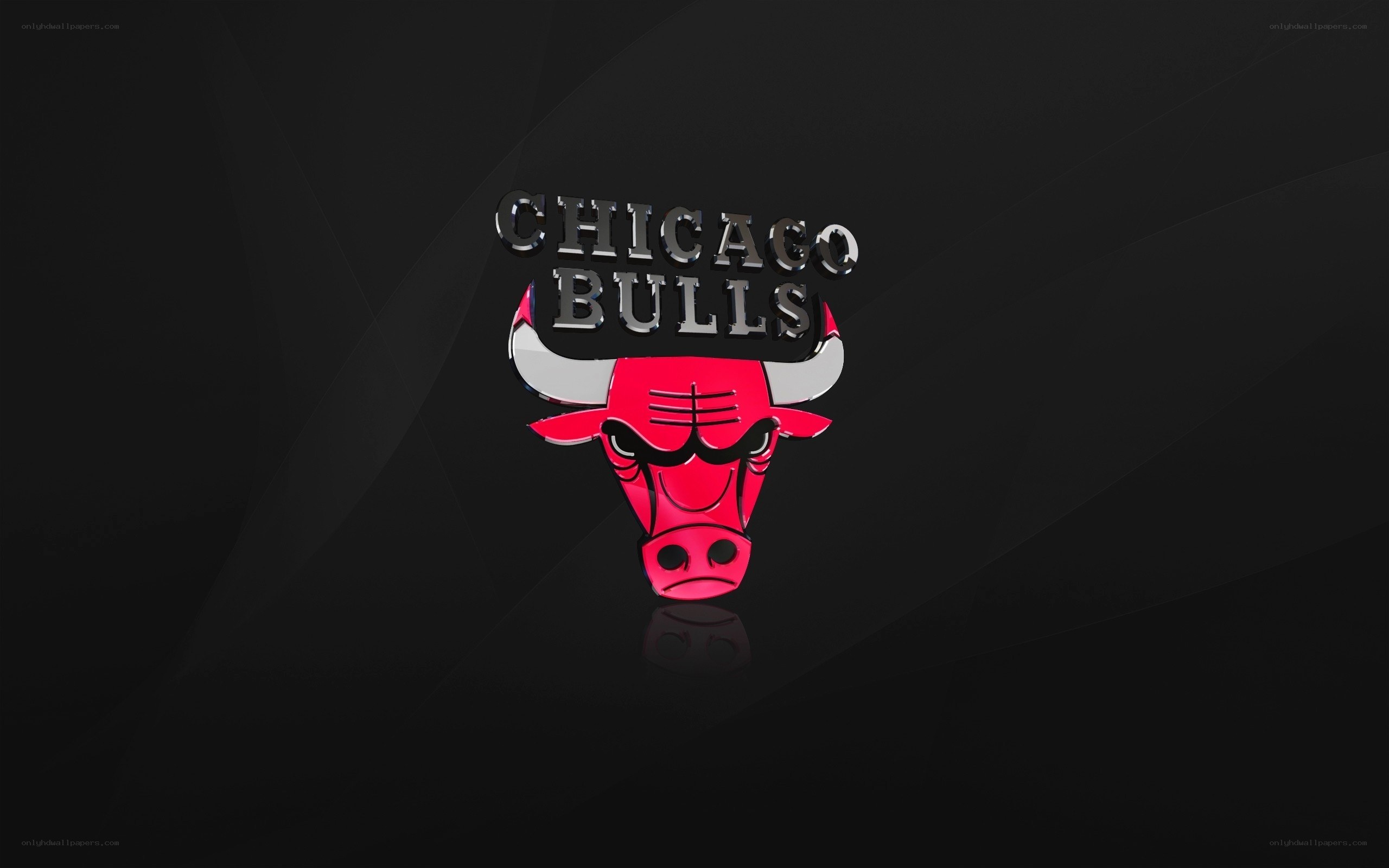 Chicago Bulls logo on dark background