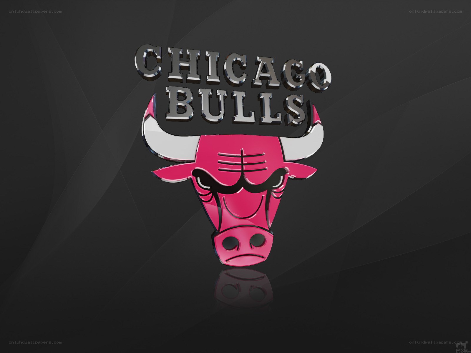 Chicago Bulls logo on dark background