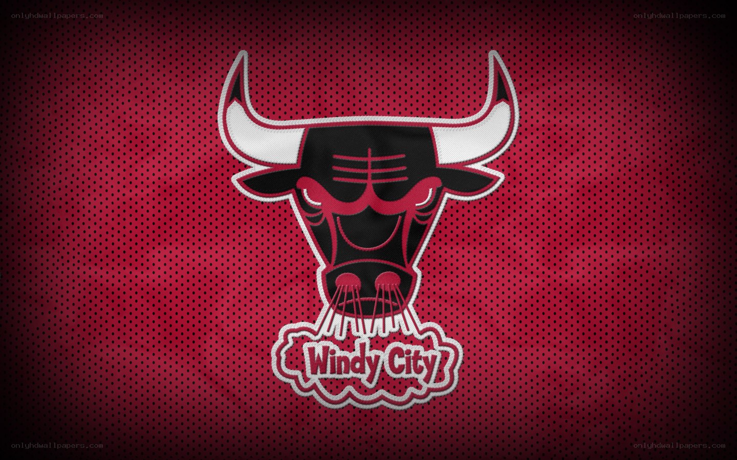 Chicago Bulls logo on mesh
