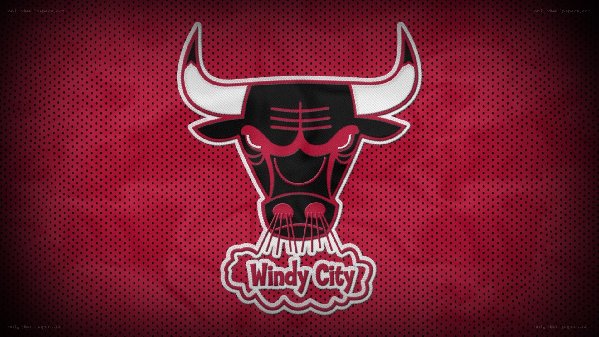 Chicago Bulls logo on red mesh