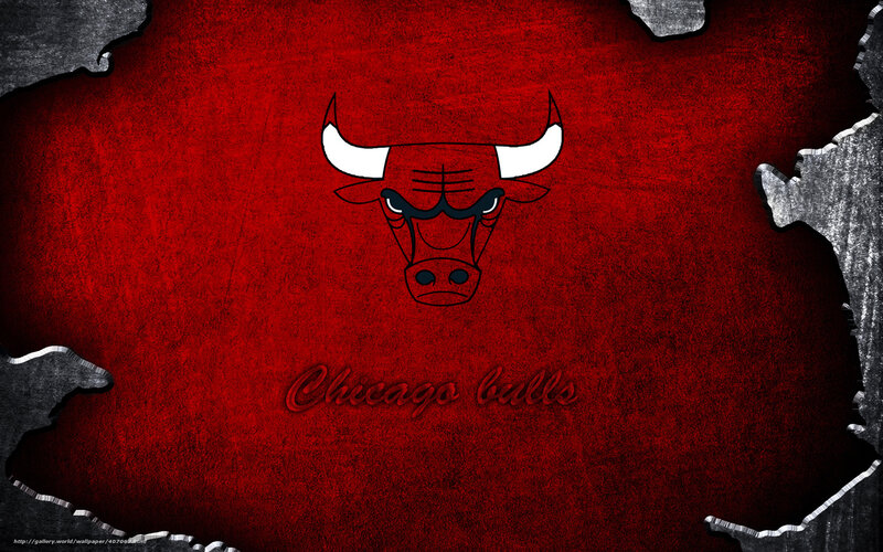 Chicago Bulls Logo — Red, Aggressive