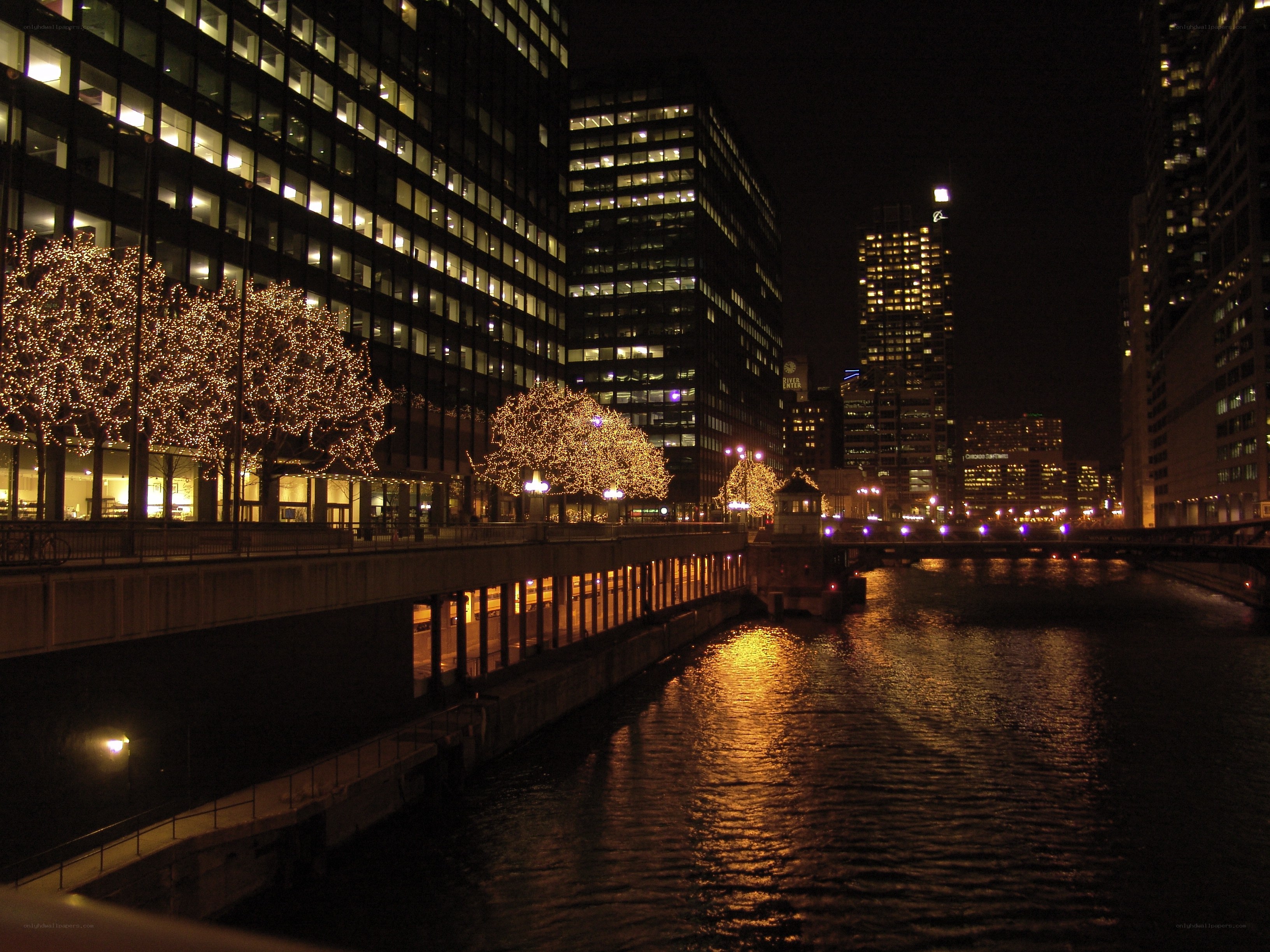 Chicago river at night