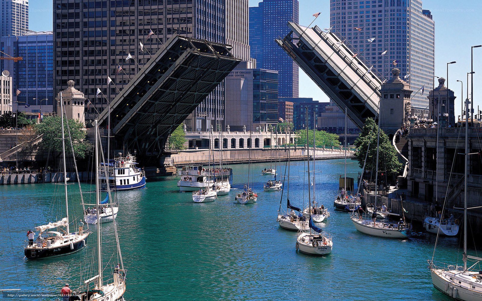 Chicago River bridge opening