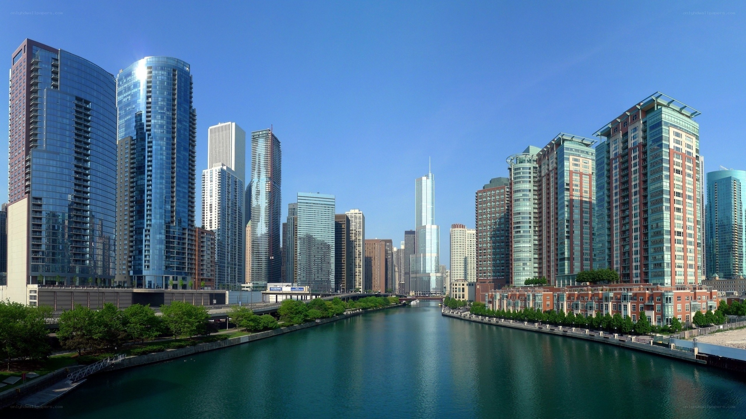 Chicago River skyline view