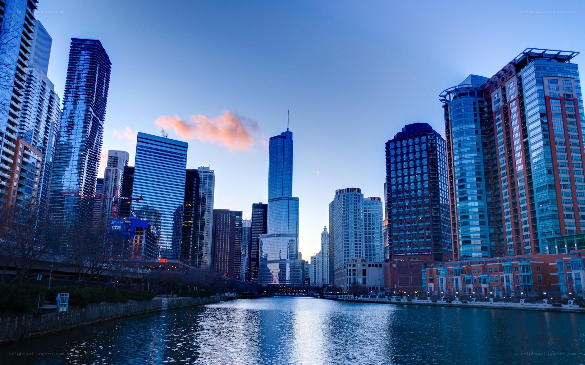 Chicago skyline at dusk