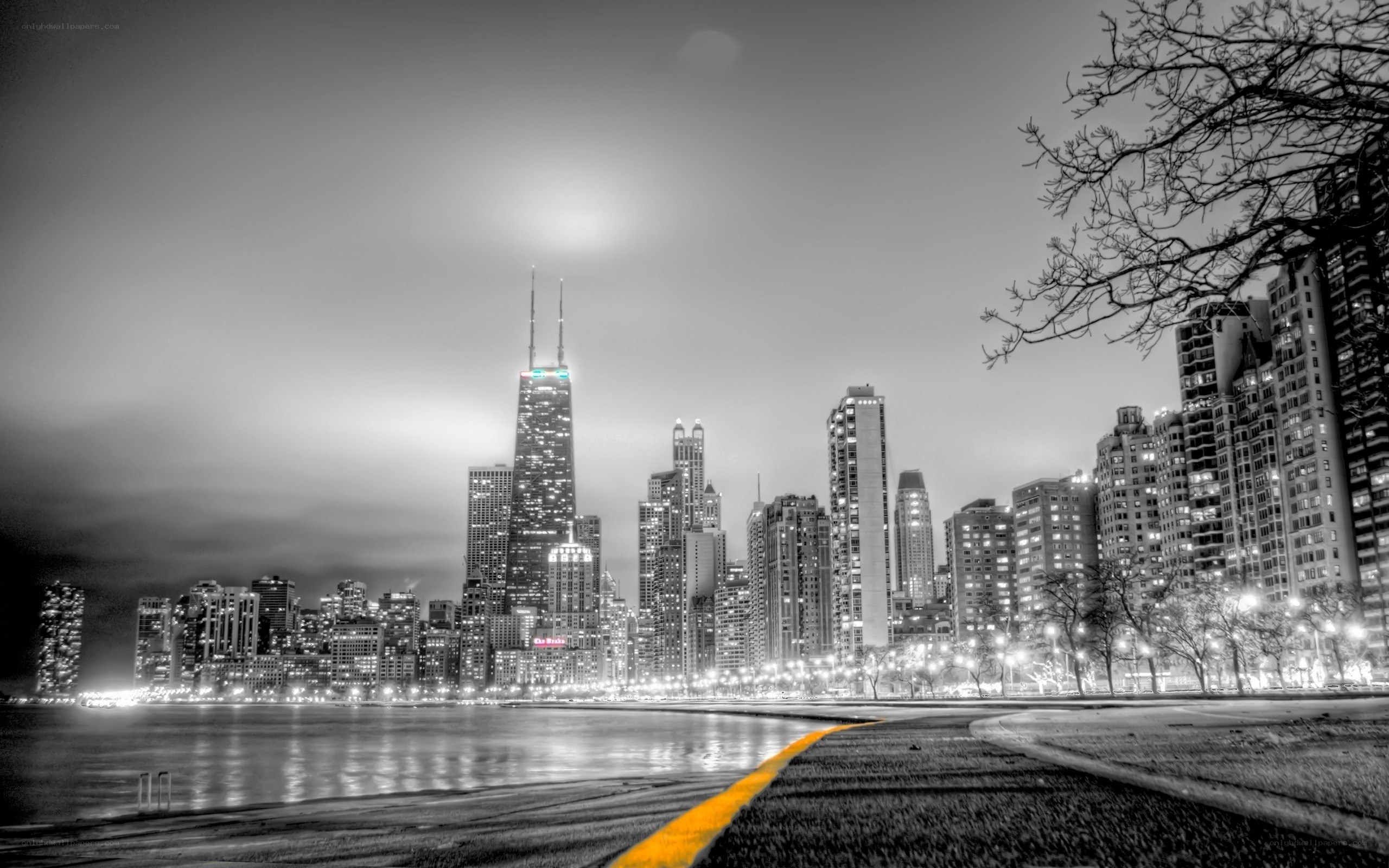 Chicago skyline at night