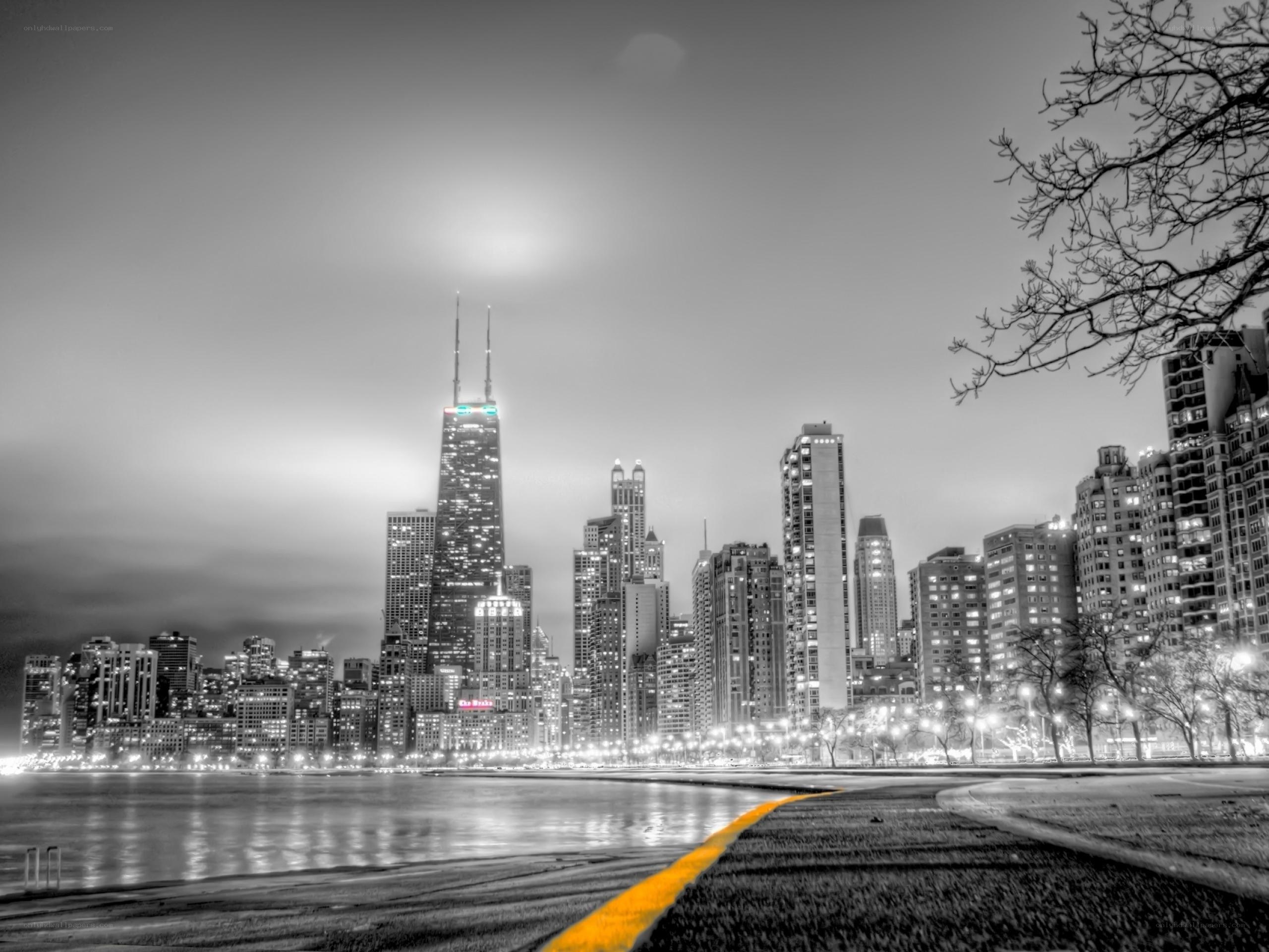 Chicago skyline at night