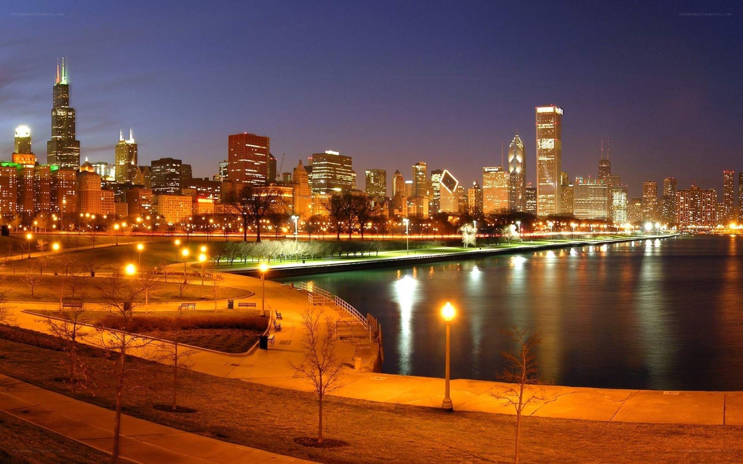 Chicago skyline at night