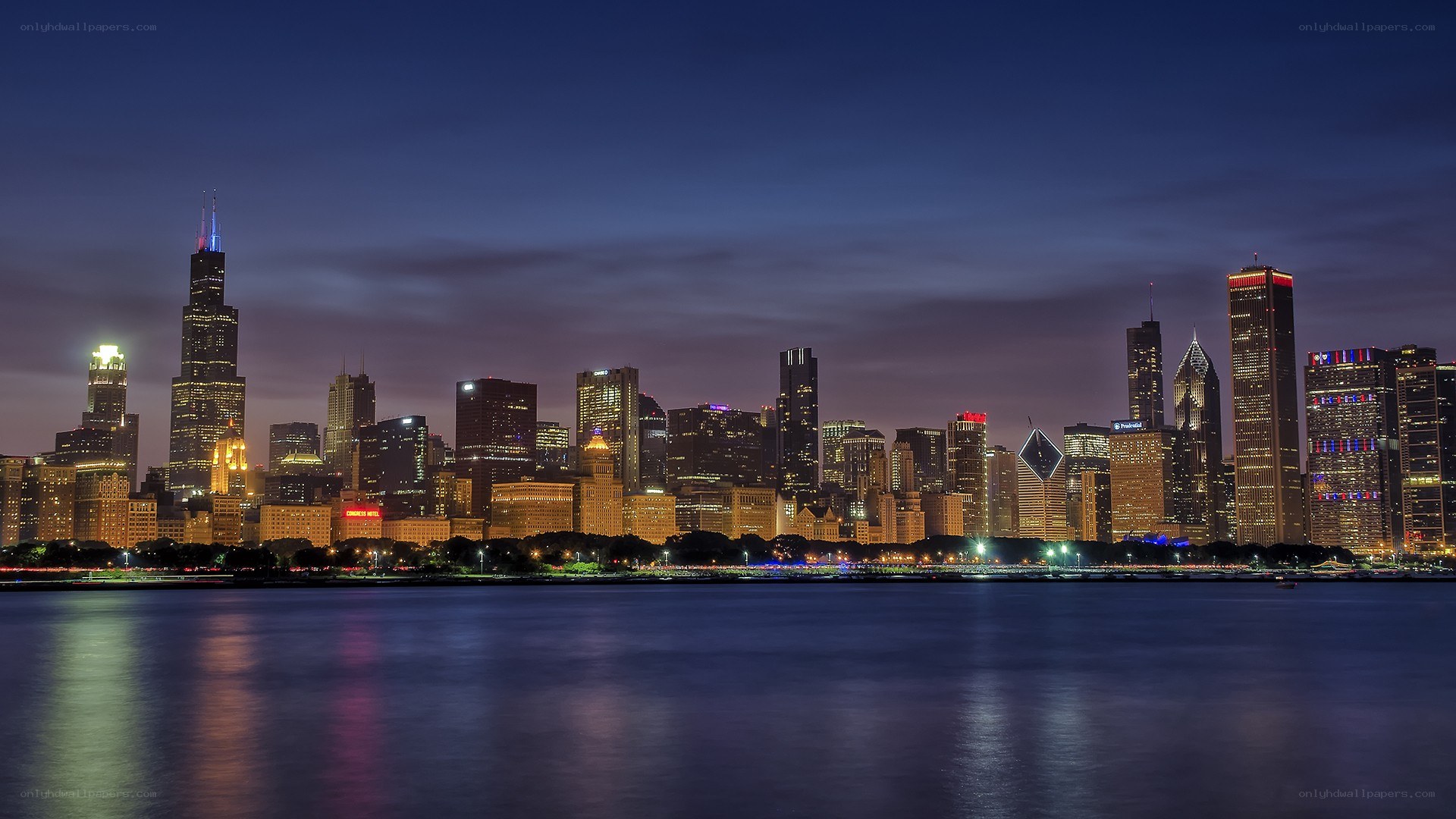 Chicago skyline at night