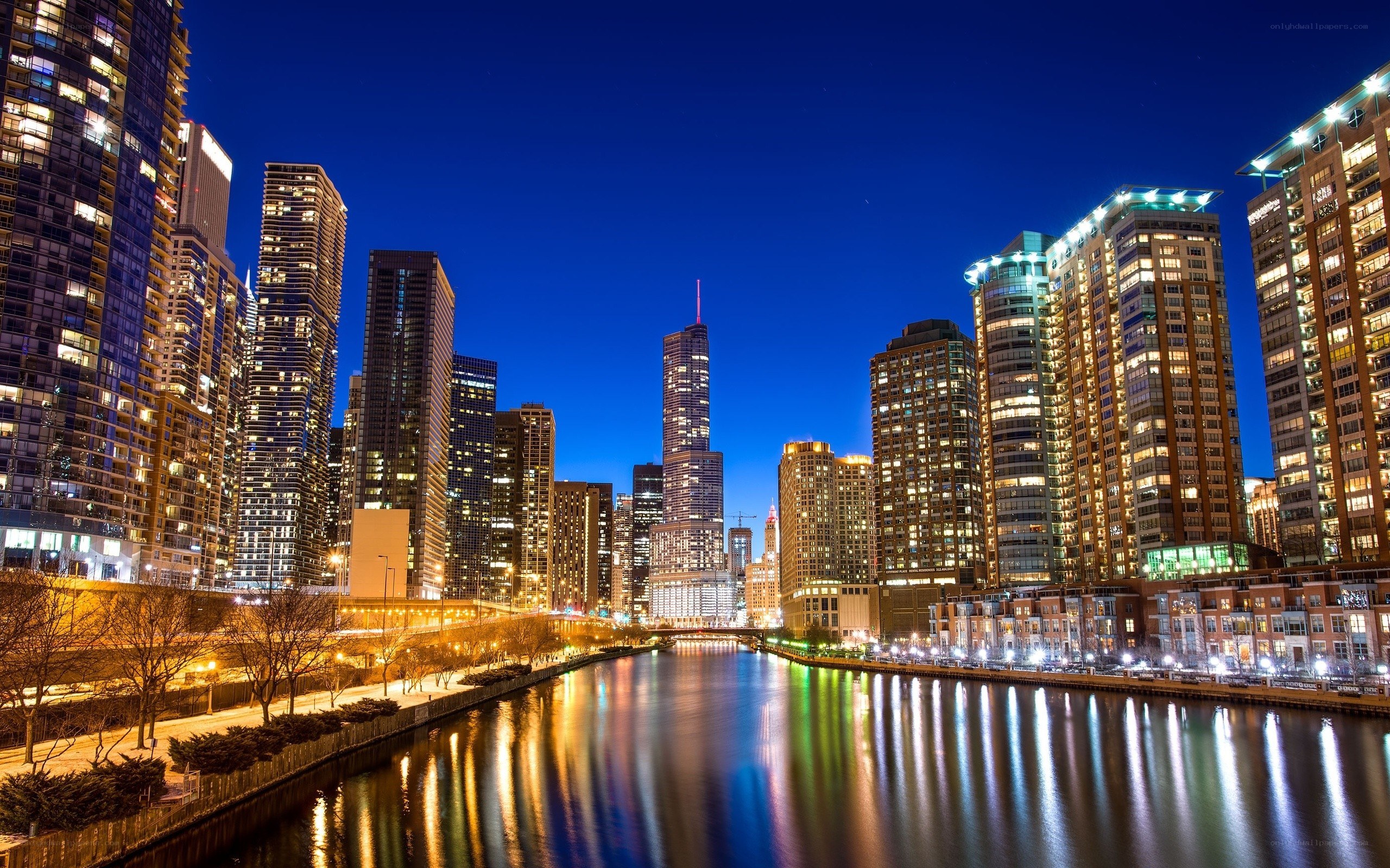 Chicago skyline at night
