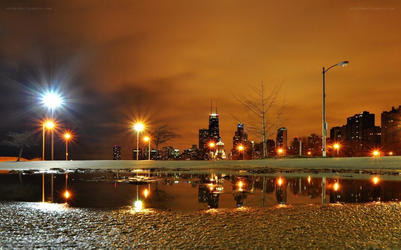 Chicago skyline at night