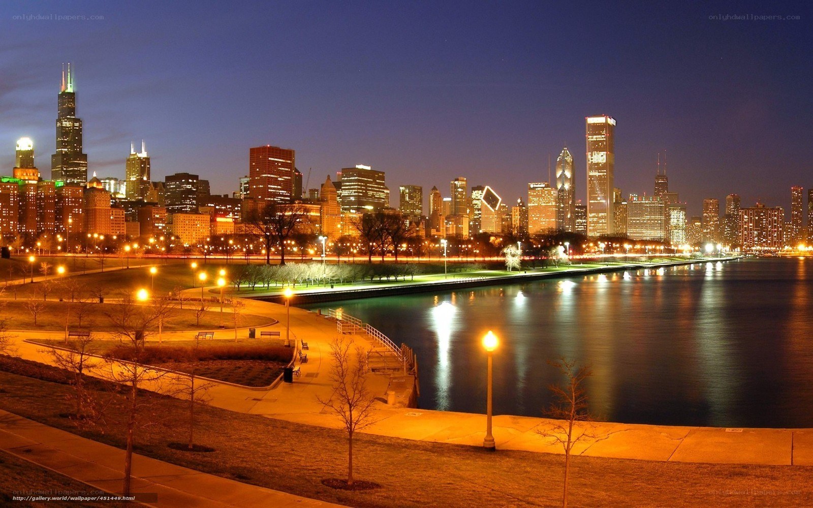 Chicago skyline at night