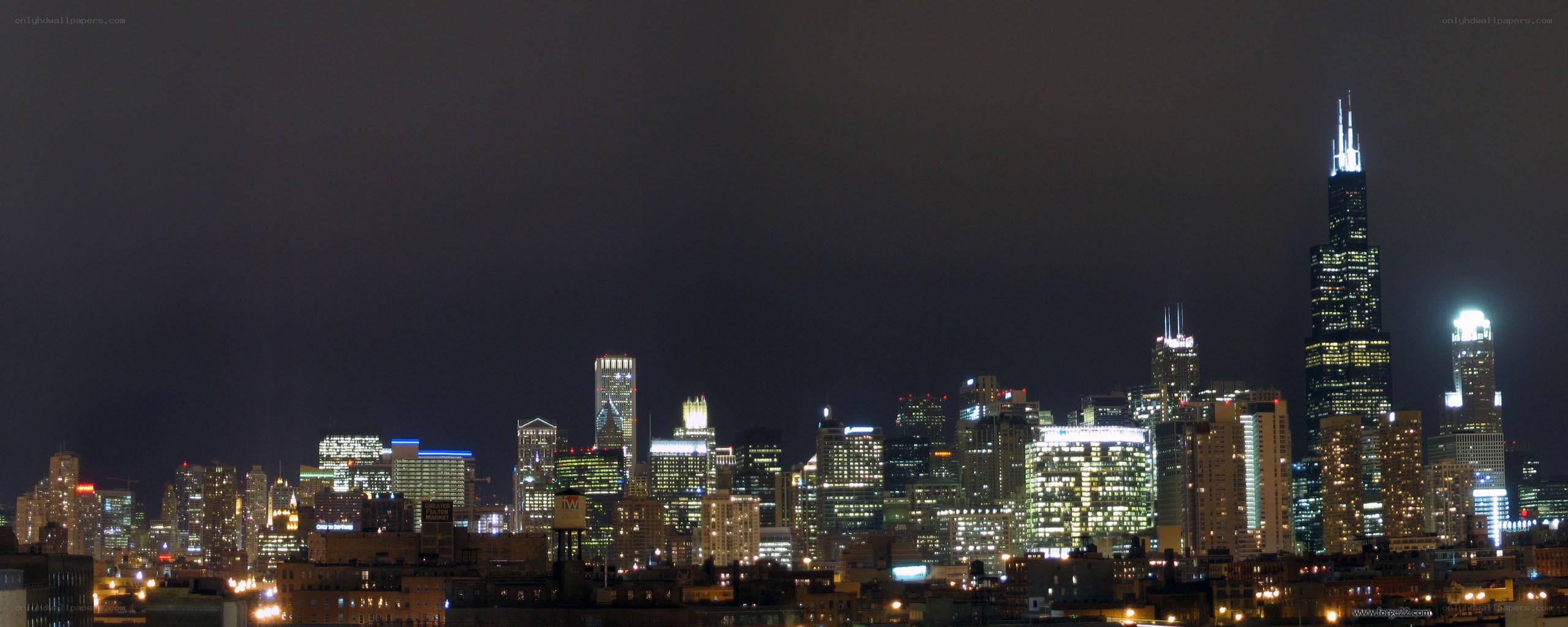 Chicago skyline at night