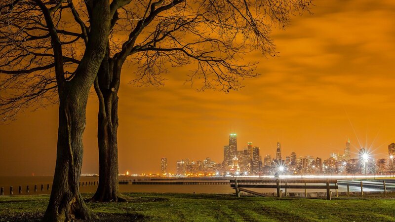 Chicago Skyline at Night — Orange, Dramatic, Photograph, Tree, Lake