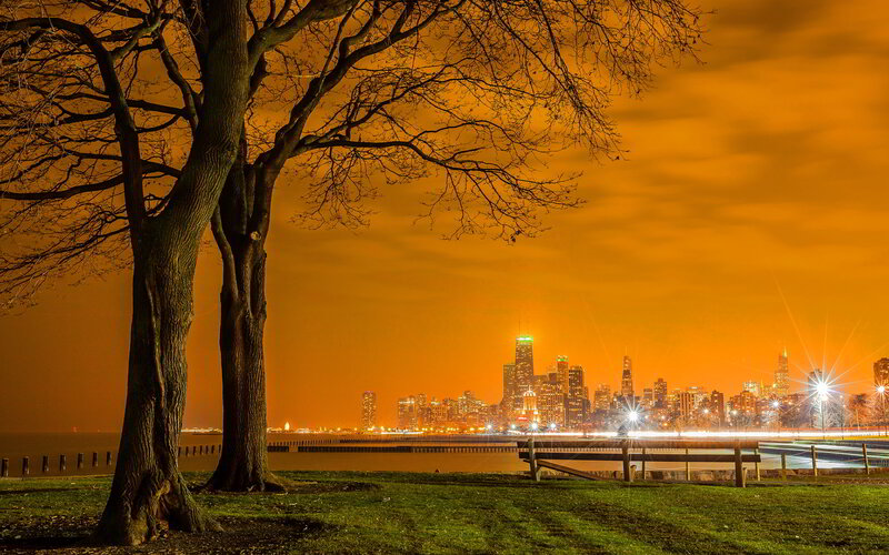 Chicago Skyline at Night — Orange, Dramatic, Photograph, Tree