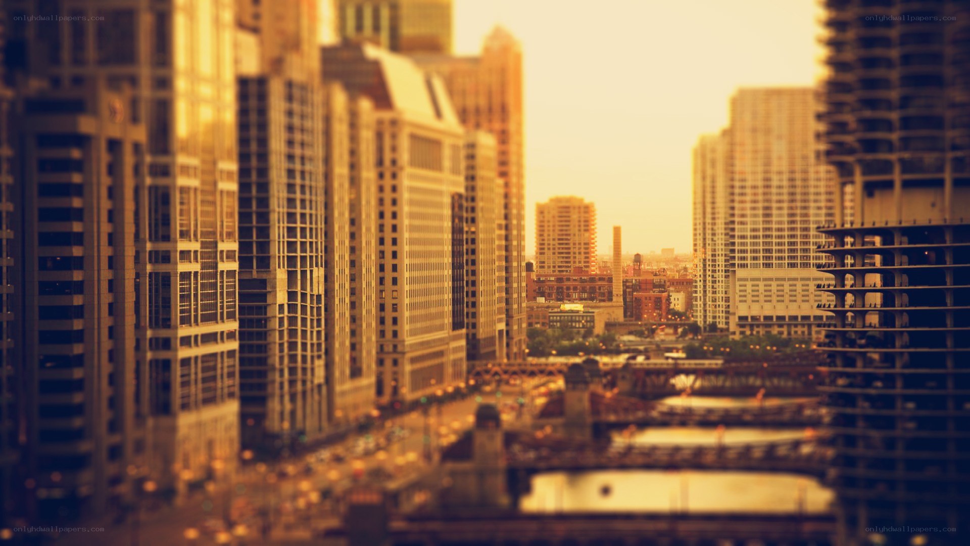Chicago skyline at sunset