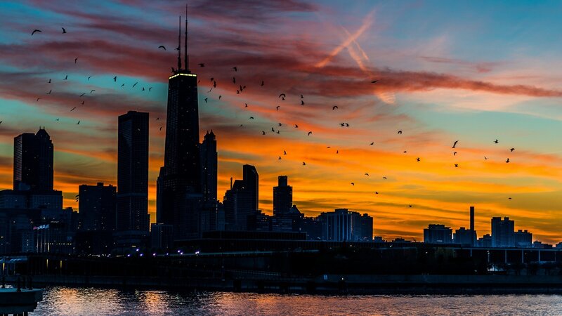 Chicago Skyline at Sunset — Orange, Dramatic, Photograph, Birds