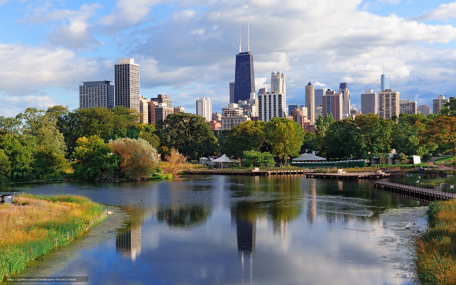 Chicago skyline from a park