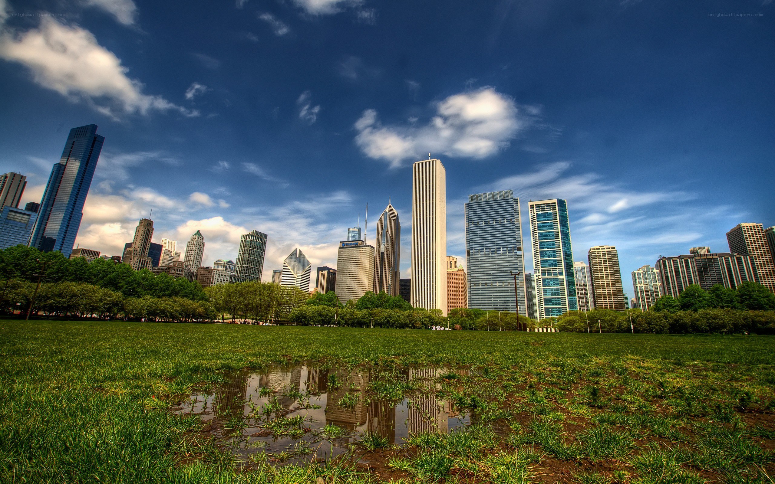 Chicago skyline from a park