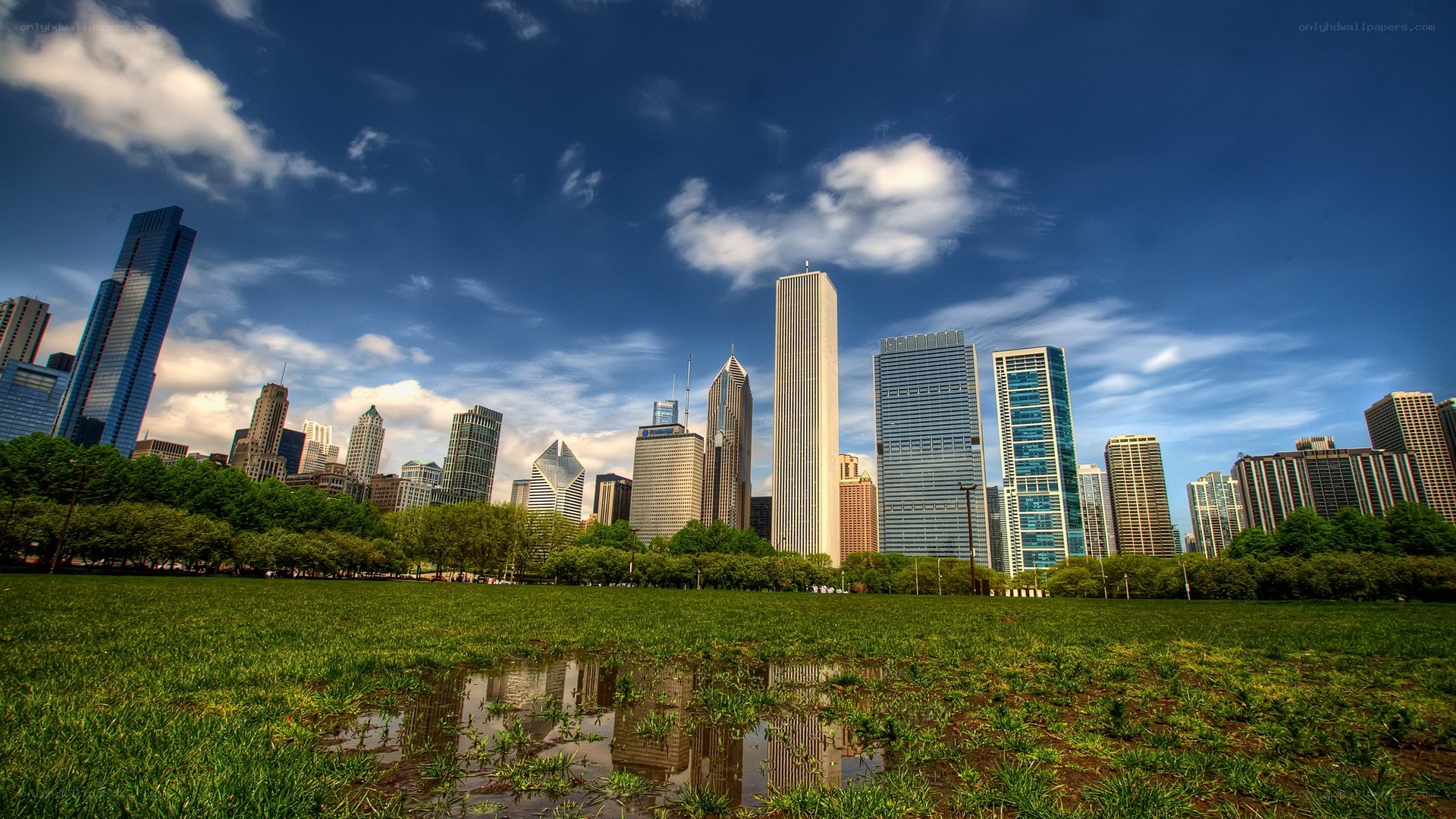 Chicago skyline from a park