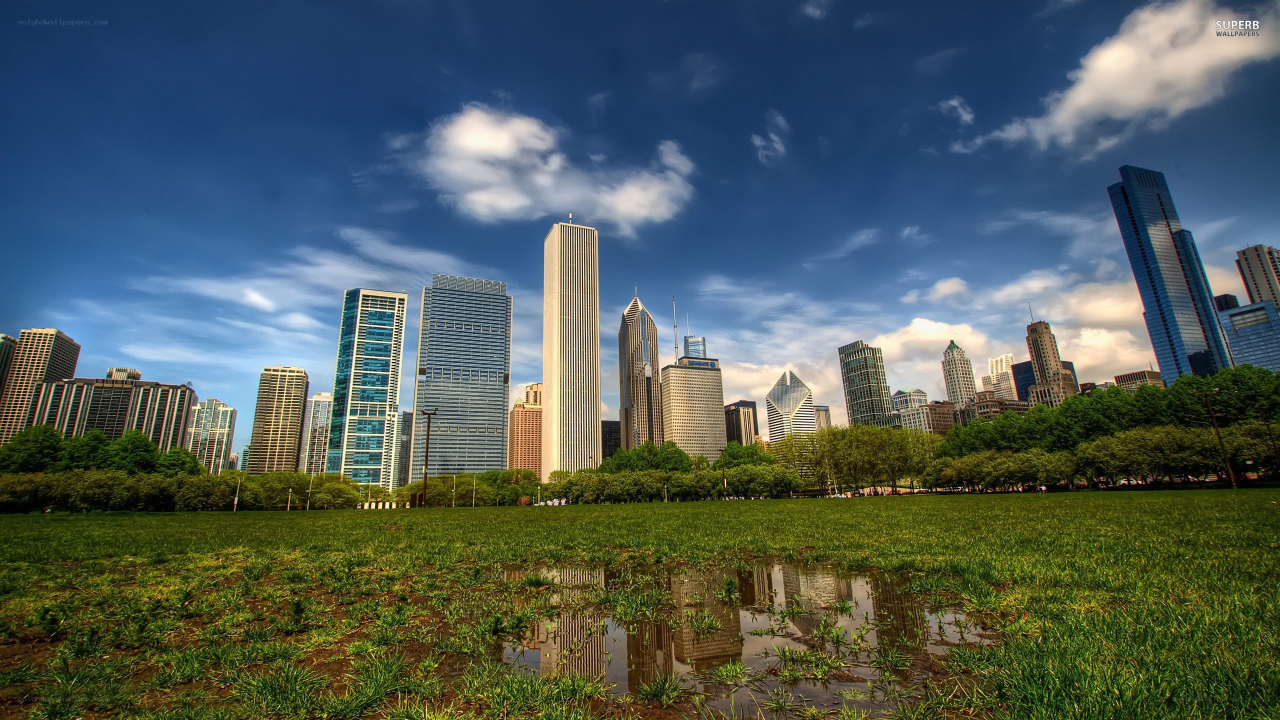 Chicago skyline from a park