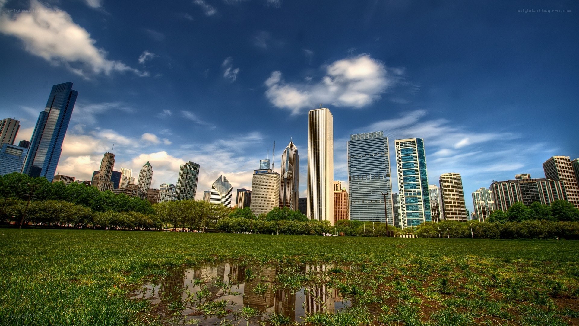 Chicago skyline from a park