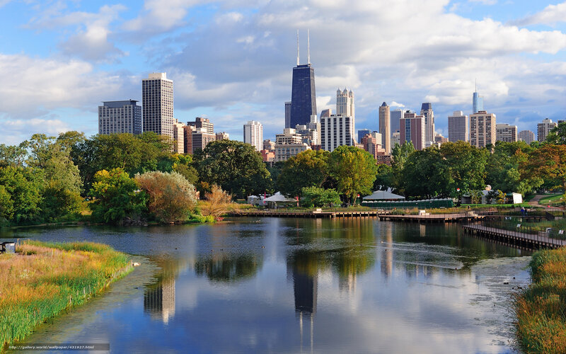 Chicago Skyline from Park — Blue, Serene