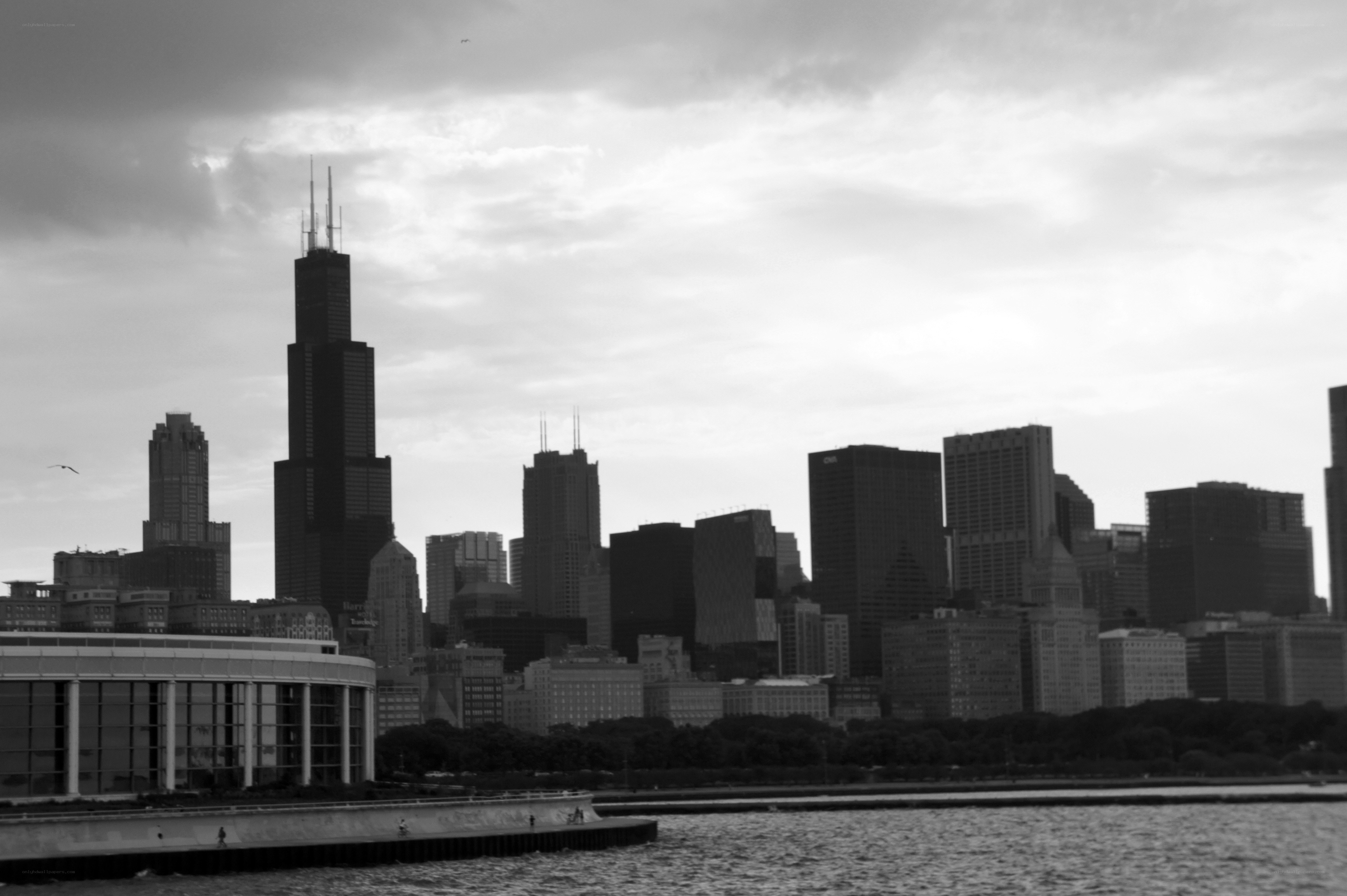 Chicago skyline from the water