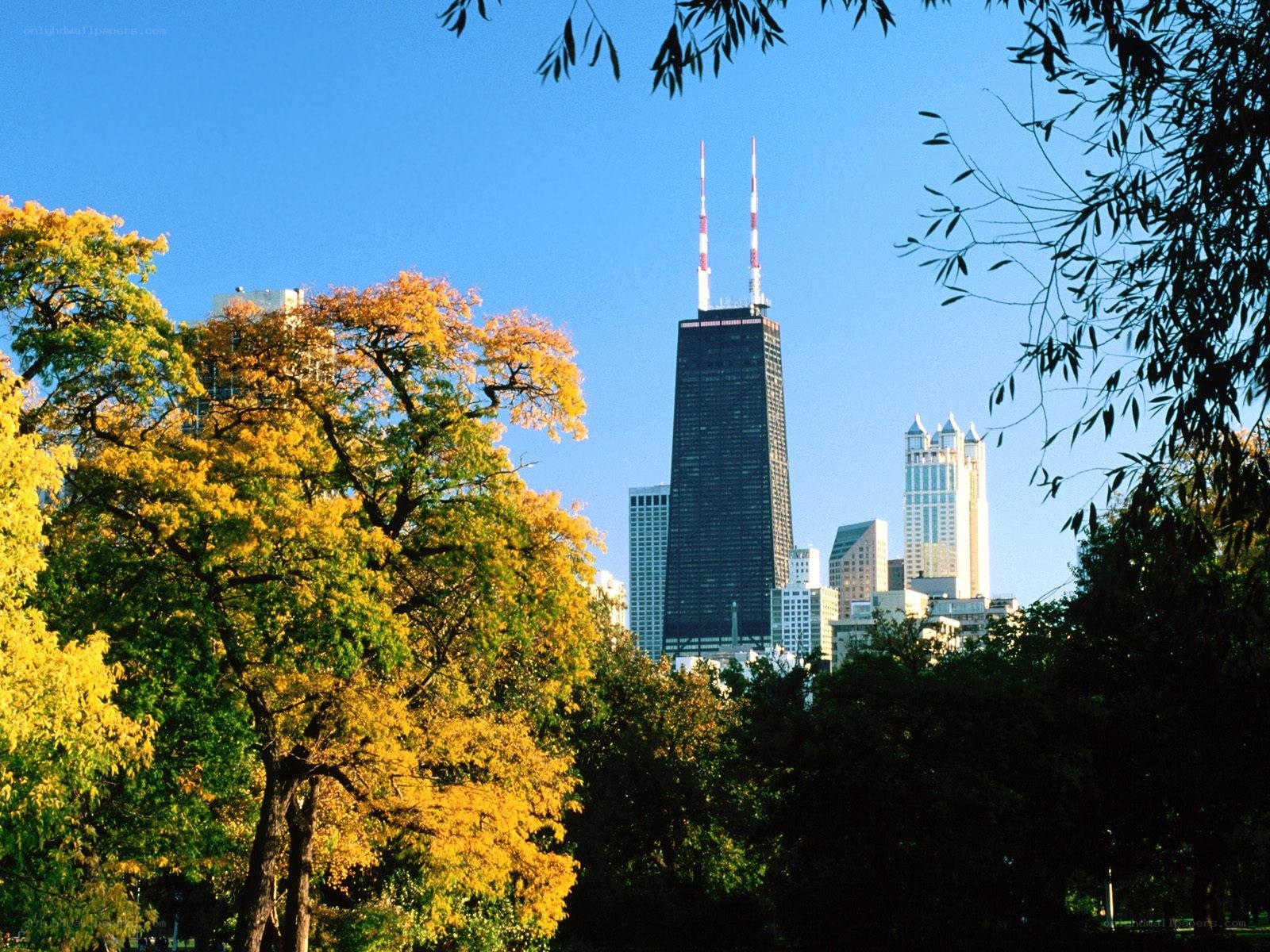 Chicago skyline in autumn