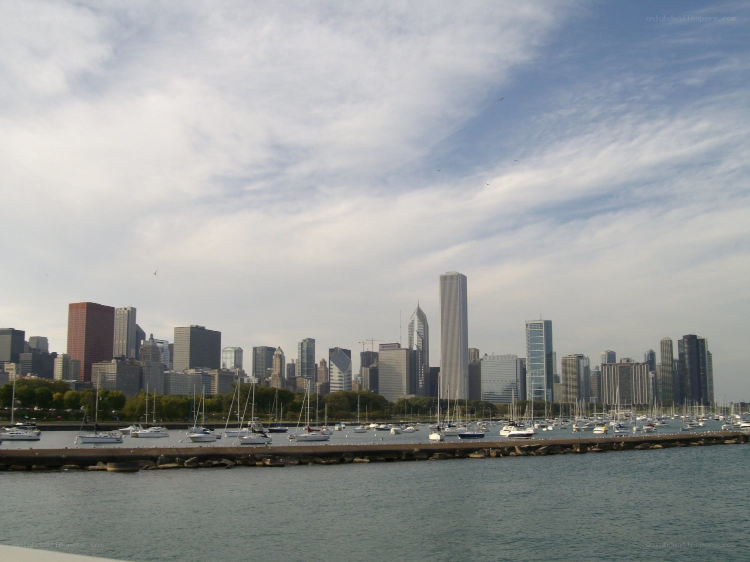 Chicago skyline with boats