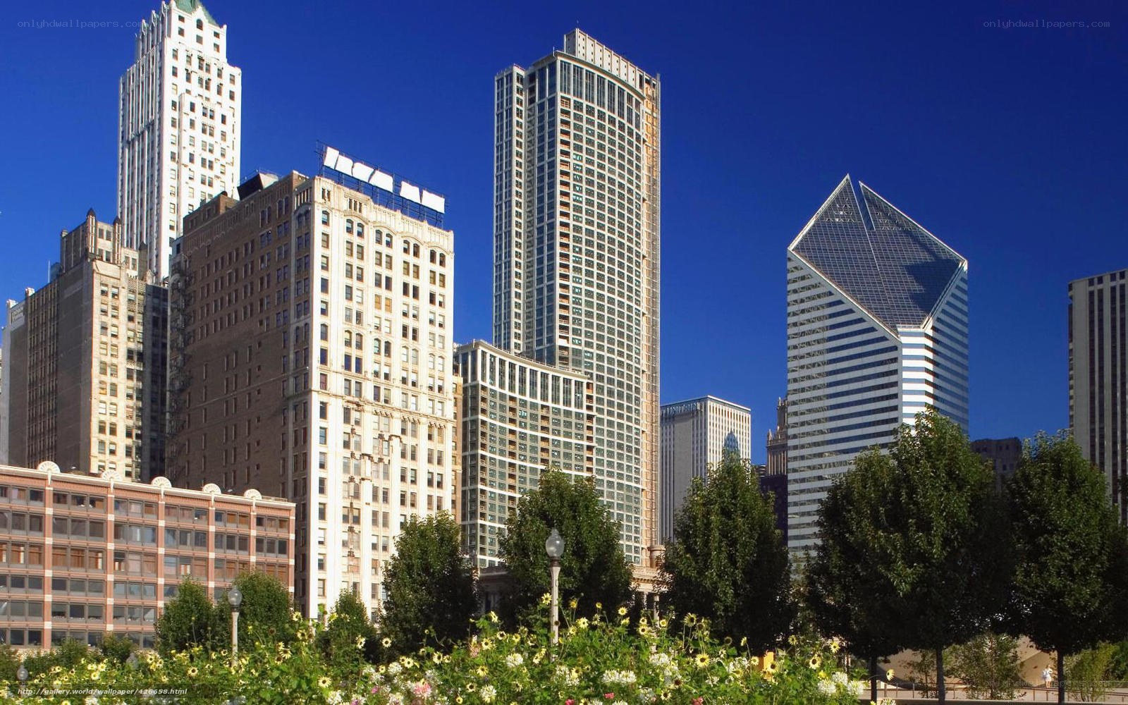 Chicago skyline with flowers