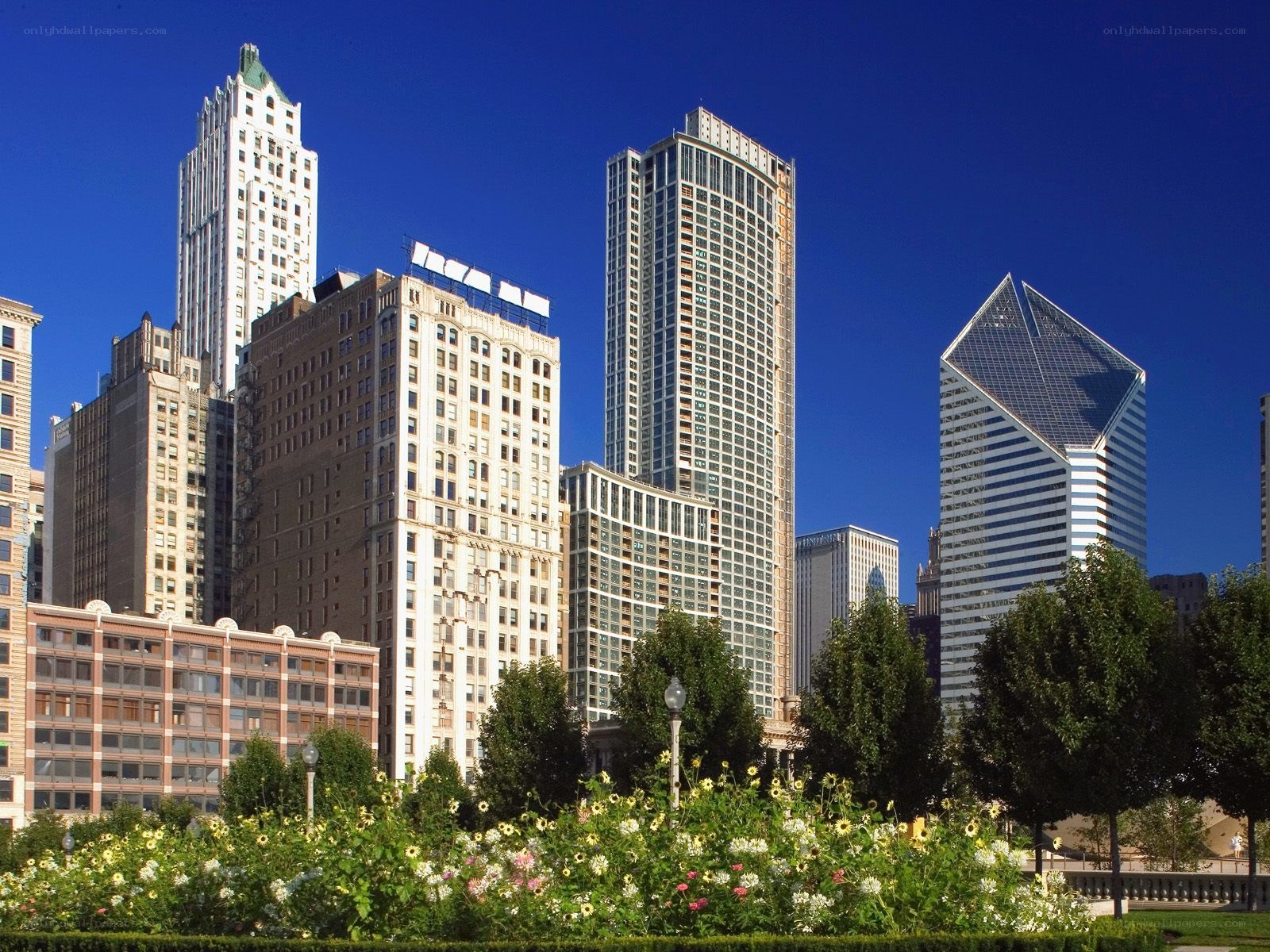 Chicago skyline with sunflowers