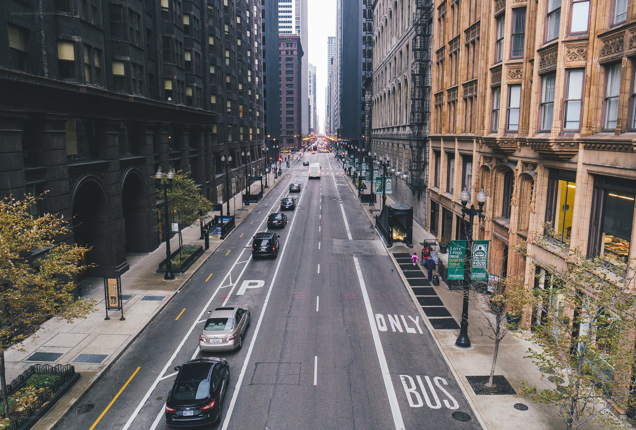 Chicago street with bus lane