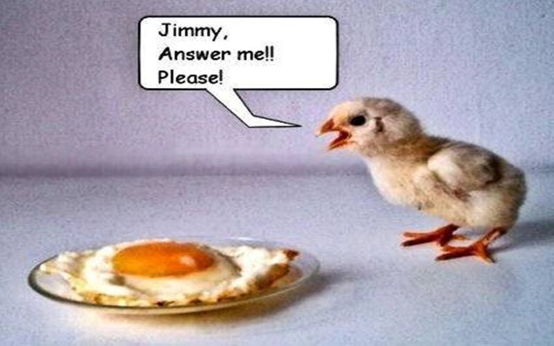 chick and fried egg