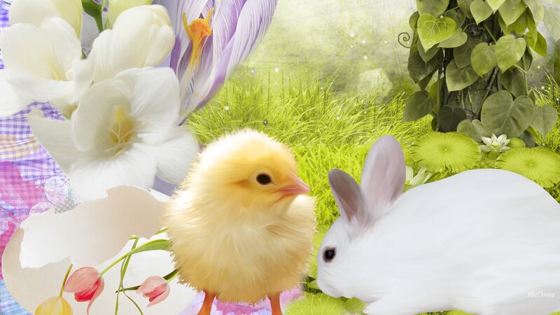 Chick and Rabbit in Garden