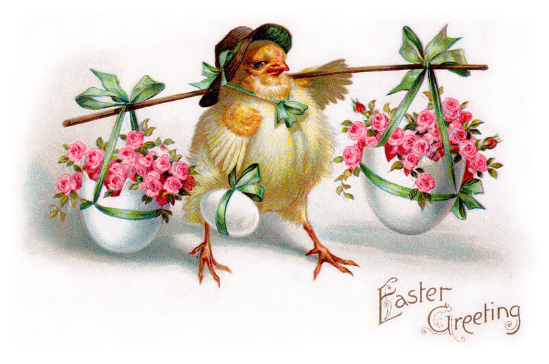Chick Carrying Baskets
