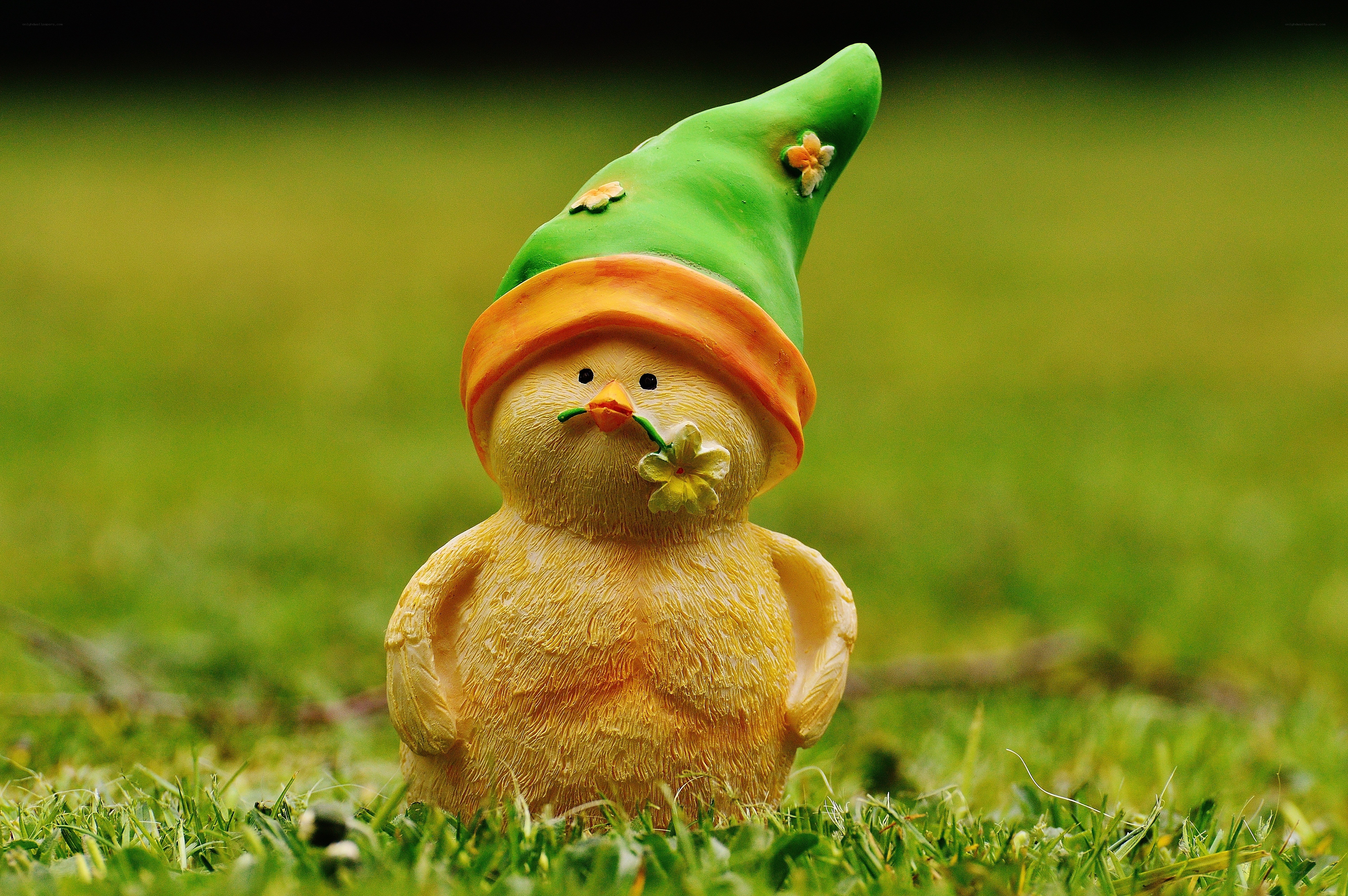 chick figurine in garden