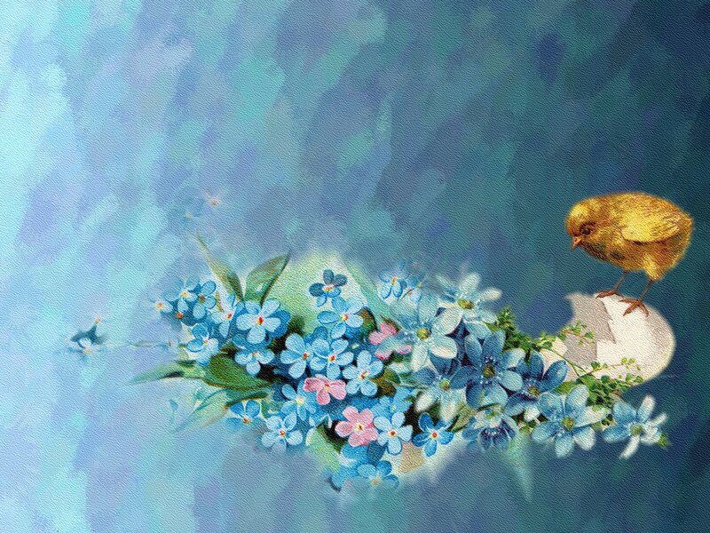 Chick Hatching from Egg — Blue, Serene