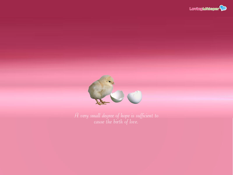 Chick Hatching from Egg — Pink