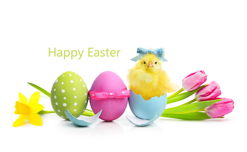 Chick in Eggshell — Yellow