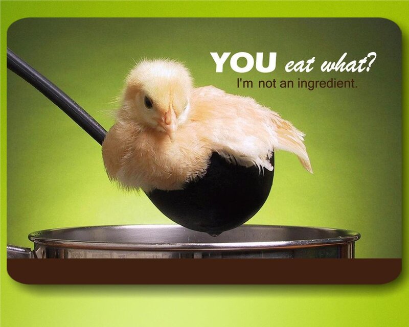 Chick in Ladle